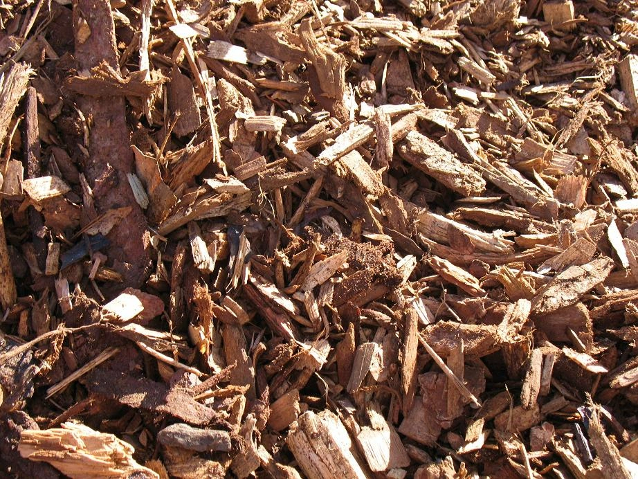 Bulk shredded bark chips for landscaping and garden beds