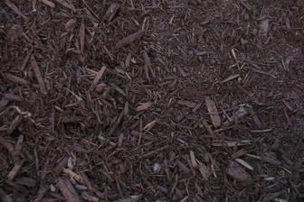 Chocolate mulch for moisture retention and weed control