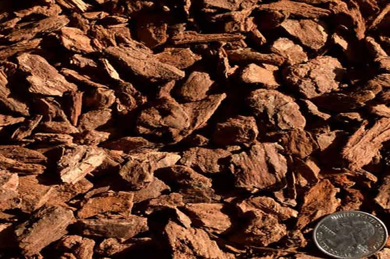 Medium bark chips close up for landscape ground cover
