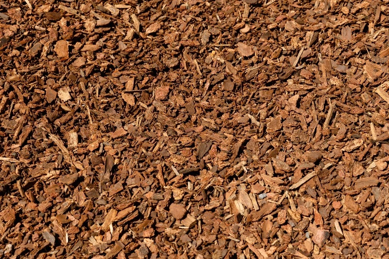 Medium bark chips close up for landscape ground cover