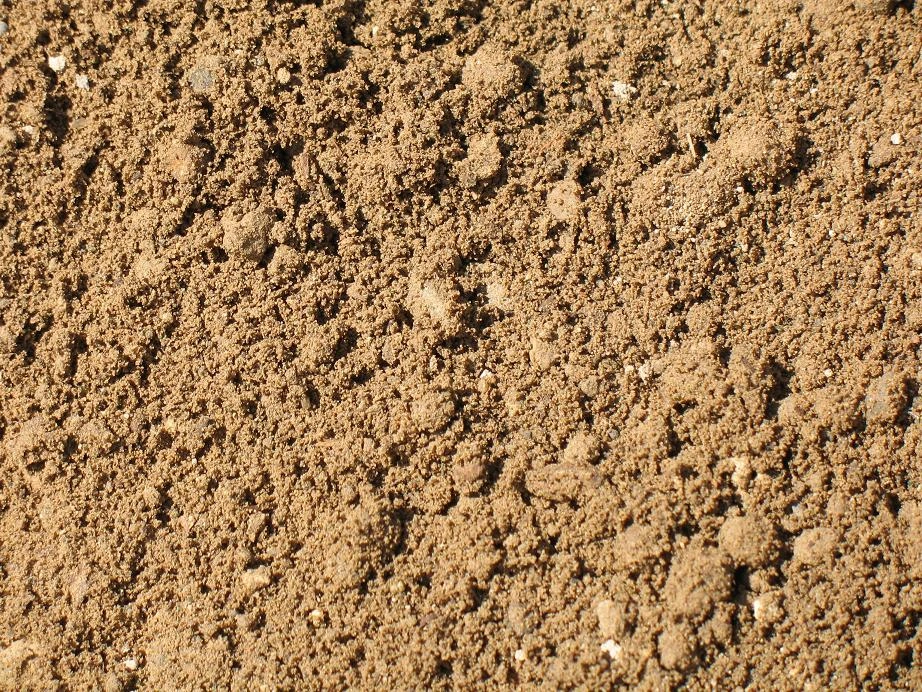 Premium screened topsoil for lawns gardens and grading